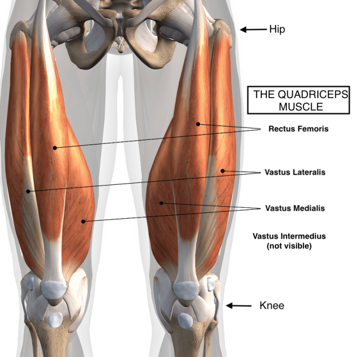 DESENVOLVER QUADRICEPS PARA RETARDAR A OSTEOARTRITE DO JOELHO